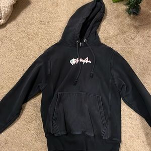 Champion Mens Hoodie